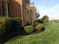 Mulch Installation