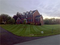 Lawn Maintenance